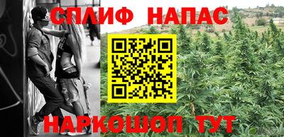 гашик Кандалакша