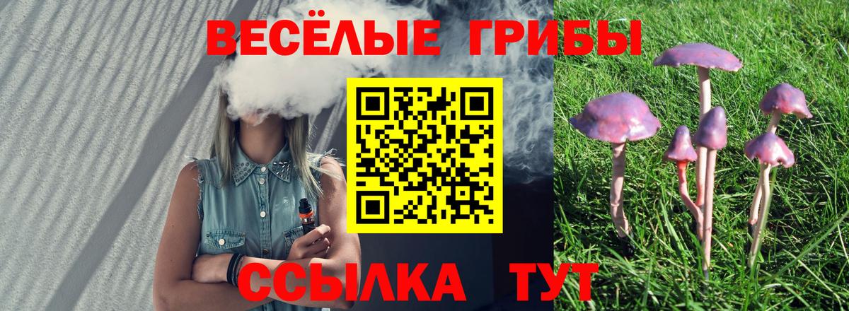 Галлюциногенные грибы MAGIC MUSHROOMS  Галлюциногенные грибы ЛСД  Троицк  Вход с VPN 